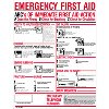 ABCs of Emergency First Aid Plastic Sign - Click for more details.